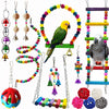 Colorful Wooden Parrot Swing with Bell - Cockatiel Training & Play Toy