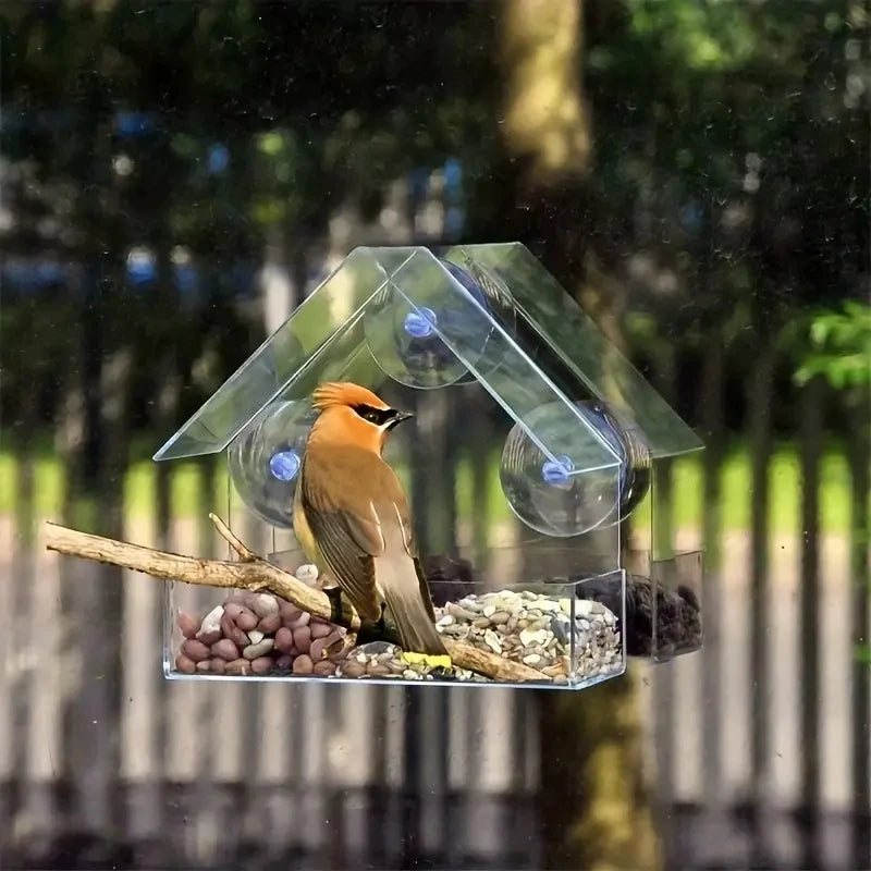 Clear Acrylic Window Bird Feeder - Outdoor Hanging Feeder with Suction Cups