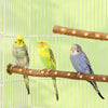 Natural Wood Bird Perch Stand - Paw Grinding Branch for Parakeets & Cockatiels