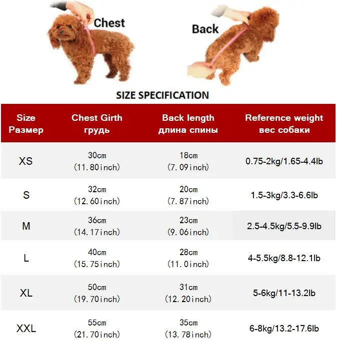 Fashion Denim Cat Vest - Casual Jeans Jacket for Spring & Autumn