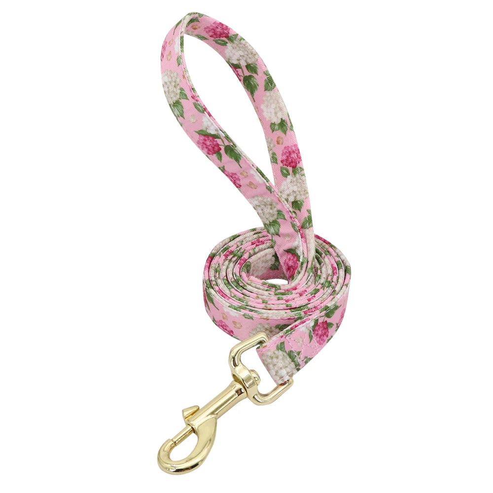 Custom Engraved Dog Collar & Leash Set - Personalized Nylon ID Collar