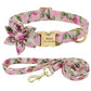 Custom Engraved Dog Collar & Leash Set - Personalized Nylon ID Collar