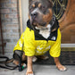 Waterproof Dog Raincoat - Windbreaker Jacket for Small to Large Dogs
