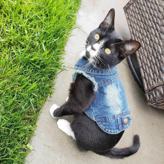 Fashion Denim Cat Vest - Casual Jeans Jacket for Spring & Autumn