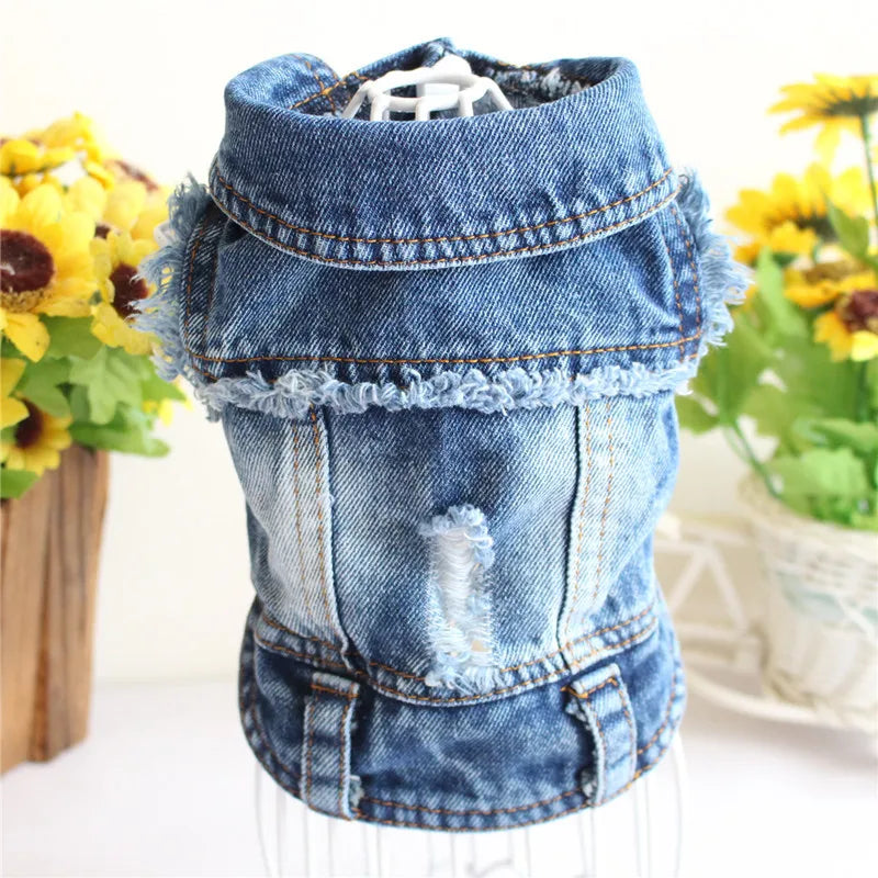 Fashion Denim Cat Vest - Casual Jeans Jacket for Spring & Autumn
