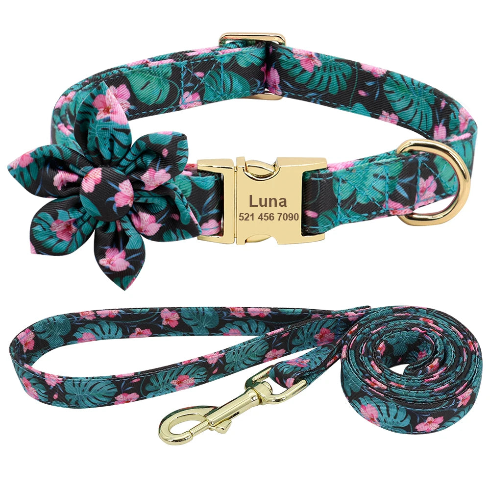 Custom Engraved Dog Collar & Leash Set - Personalized Nylon ID Collar