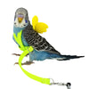 Adjustable Parrot Harness & Leash Set - Anti-Bite Training for Outdoor Flying