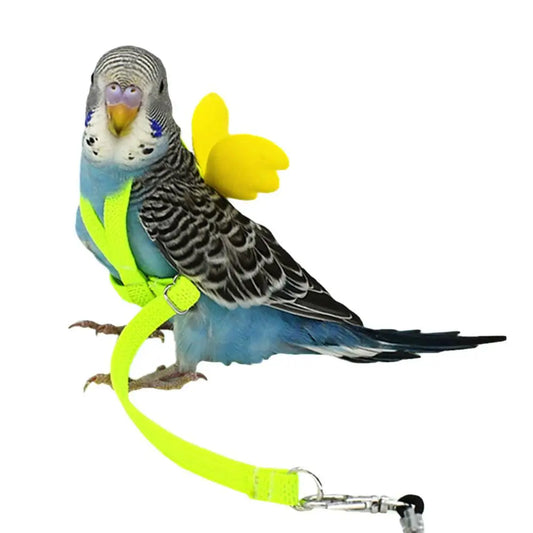 Adjustable Parrot Harness & Leash Set - Anti-Bite Training for Outdoor Flying