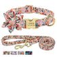 Custom Engraved Dog Collar & Leash Set - Personalized Nylon ID Collar