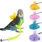 Adjustable Parrot Harness & Leash Set - Anti-Bite Training for Outdoor Flying