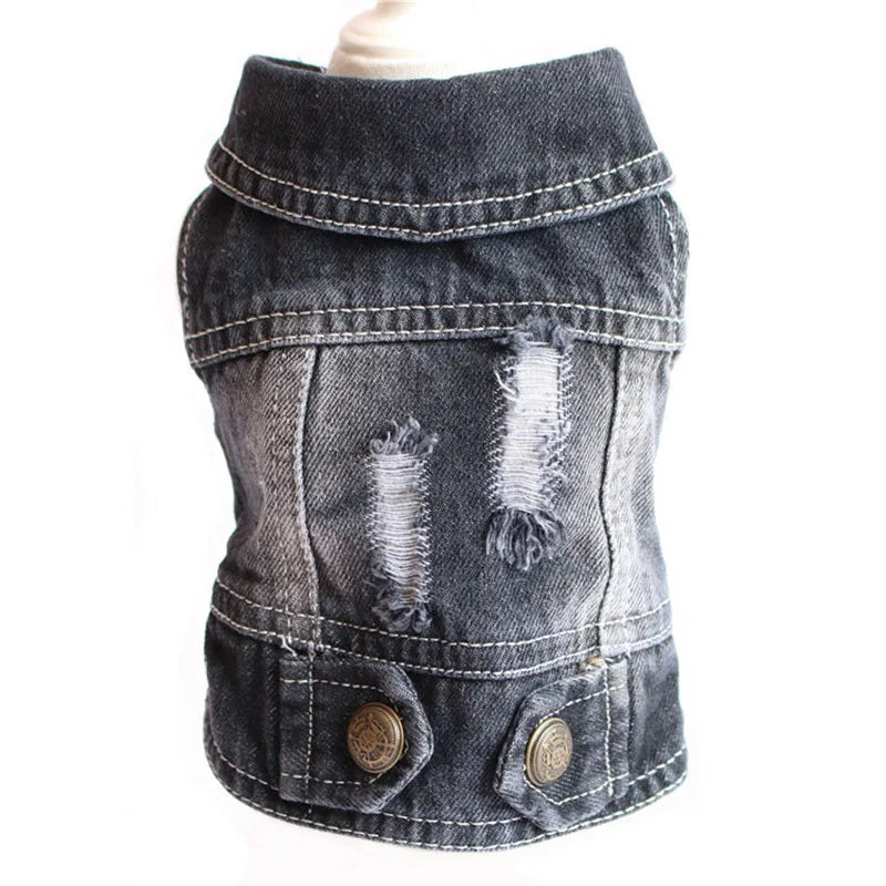 Fashion Denim Cat Vest - Casual Jeans Jacket for Spring & Autumn