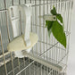Bird Food Holder Clip - Parrot Fruit & Vegetable Feeder for Cage