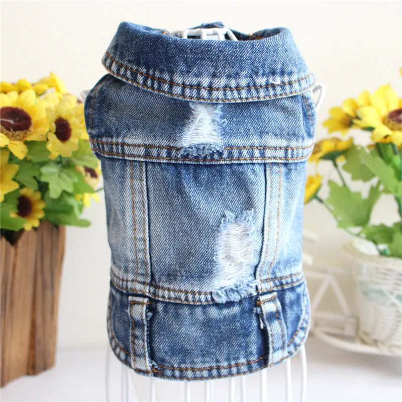 Fashion Denim Cat Vest - Casual Jeans Jacket for Spring & Autumn