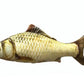 Catnip Fish Toy - Plush Stuffed Cat Chew Toy (7 Styles Available)