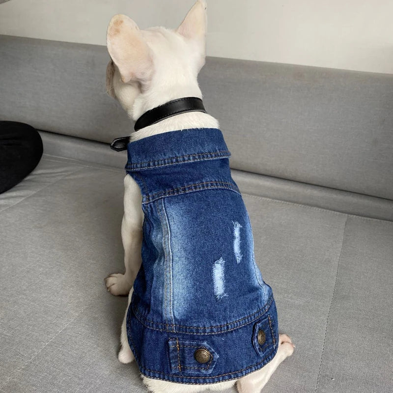 Fashion Denim Cat Vest - Casual Jeans Jacket for Spring & Autumn