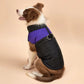 Waterproof Dog Parka - Winter Cotton Vest for Small to Large Dogs