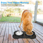 Stainless Steel Double Dog Bowl with Anti-Slip Silicone Mat