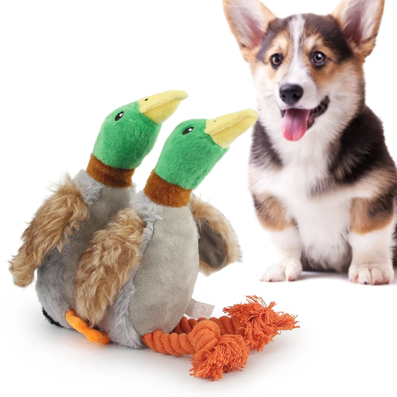 Plush Duck Squeaky Dog Toy - Cute Chew Rope for Tooth Cleaning