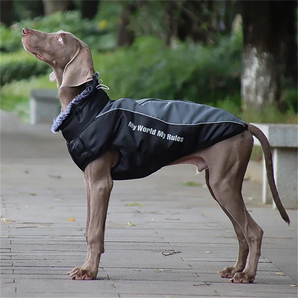 Winter Dog Coat with Fur Collar - Thick Jacket for Large Dogs (XL-6XL)