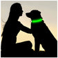 LED USB Rechargeable Dog Collar - 3 Mode Luminous Safety Collar for Dogs & Cats