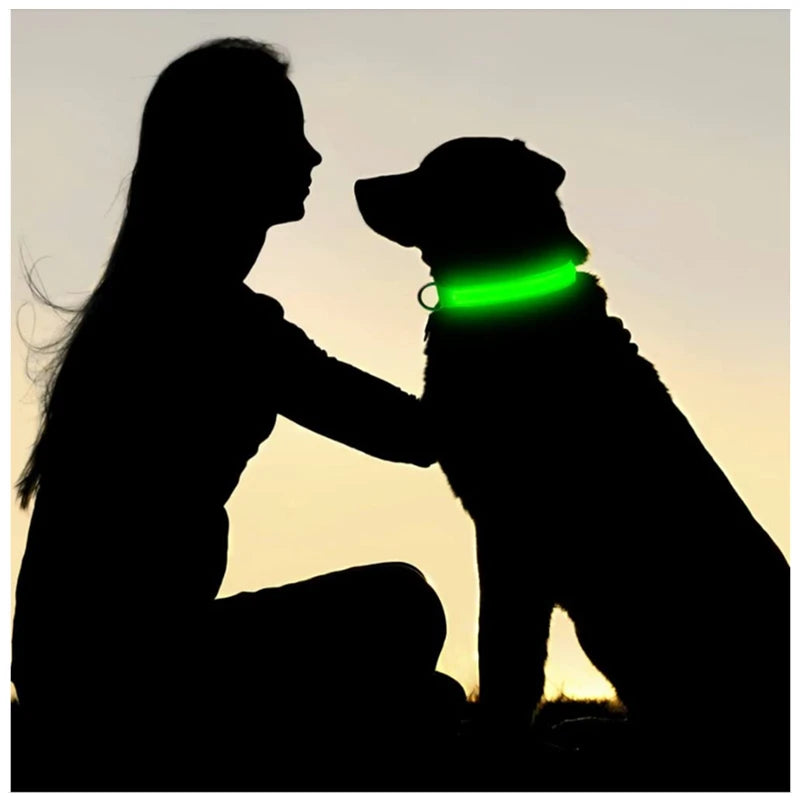 LED USB Rechargeable Dog Collar - 3 Mode Luminous Safety Collar for Dogs & Cats