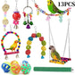 Colorful Wooden Parrot Swing with Bell - Cockatiel Training & Play Toy