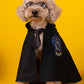Magic Academy Pet Costume - Wizard Cloak for Dogs & Cats