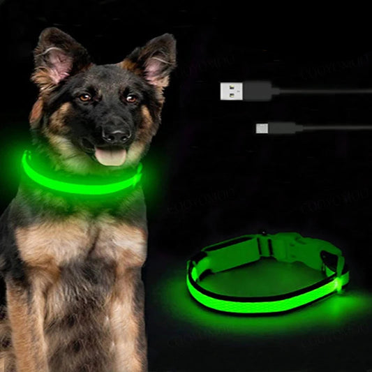 LED USB Rechargeable Dog Collar - 3 Mode Luminous Safety Collar for Dogs & Cats