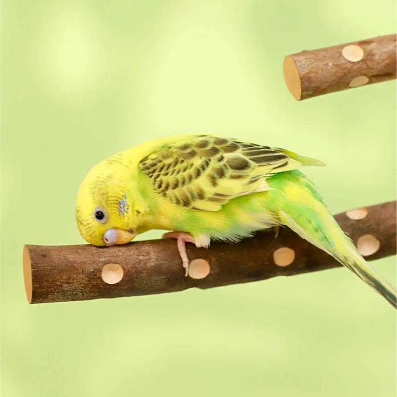 Natural Wood Bird Perch Stand - Paw Grinding Branch for Parakeets & Cockatiels