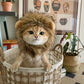 Lion Mane Cat Costume - Humorous Adjustable Headgear for Pets