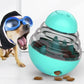 Interactive Slow Feeder Dog Toy - IQ Treat Ball for Training & Play