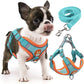 Step-In Dog Harness & Leash Set - Reflective Soft Vest for Small & Medium Dogs