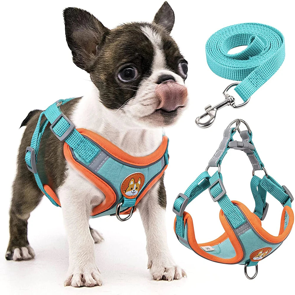 Step-In Dog Harness & Leash Set - Reflective Soft Vest for Small & Medium Dogs