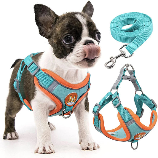 Step-In Dog Harness & Leash Set - Reflective Soft Vest for Small & Medium Dogs