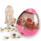 Interactive Slow Feeder Dog Toy - IQ Treat Ball for Training & Play