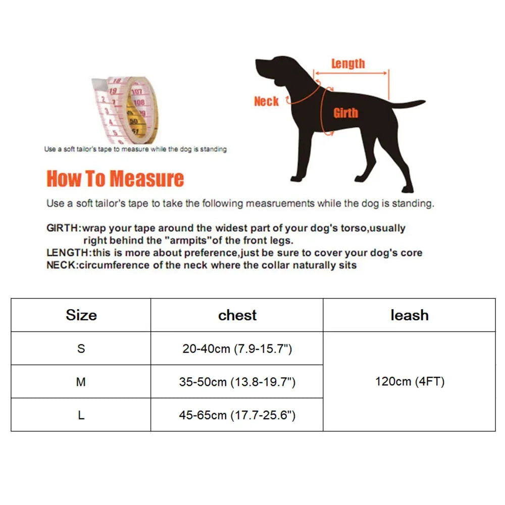 Mesh Cat Harness and Leash Set - Nylon Vest for Small Cats & Kittens