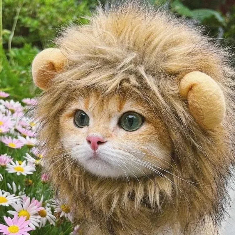 Lion Mane Cat Costume - Humorous Adjustable Headgear for Pets