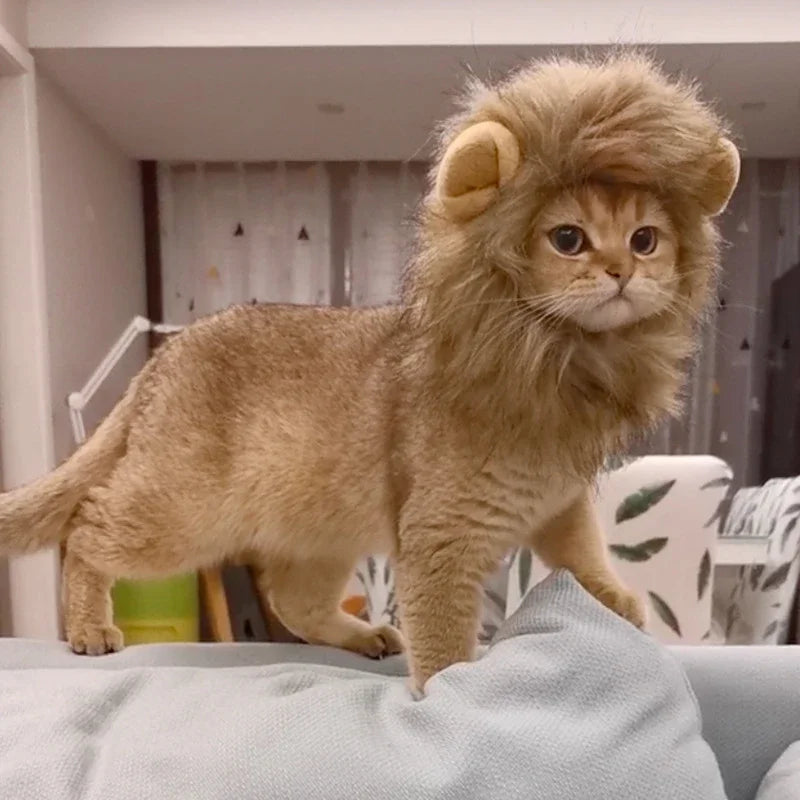 Lion Mane Cat Costume - Humorous Adjustable Headgear for Pets