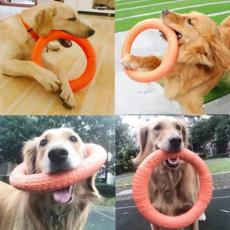 EVA Flying Disc Dog Toy - Interactive Training Ring Puller