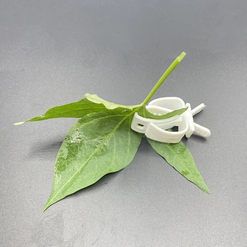 Bird Food Holder Clip - Parrot Fruit & Vegetable Feeder for Cage