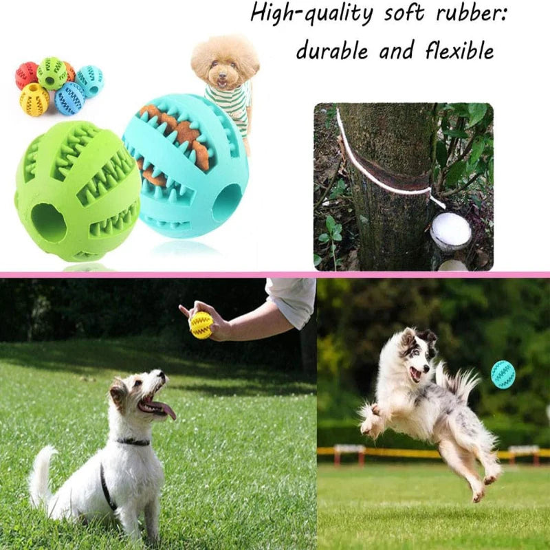 Interactive Rubber Dog Ball - Tooth Cleaning Treat Feeder Toy