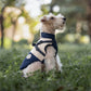 Thick Cotton Dog Vest - Warm Windproof Coat for Autumn & Winter