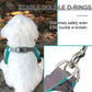 Step-In Dog Harness & Leash Set - Reflective Soft Vest for Small & Medium Dogs