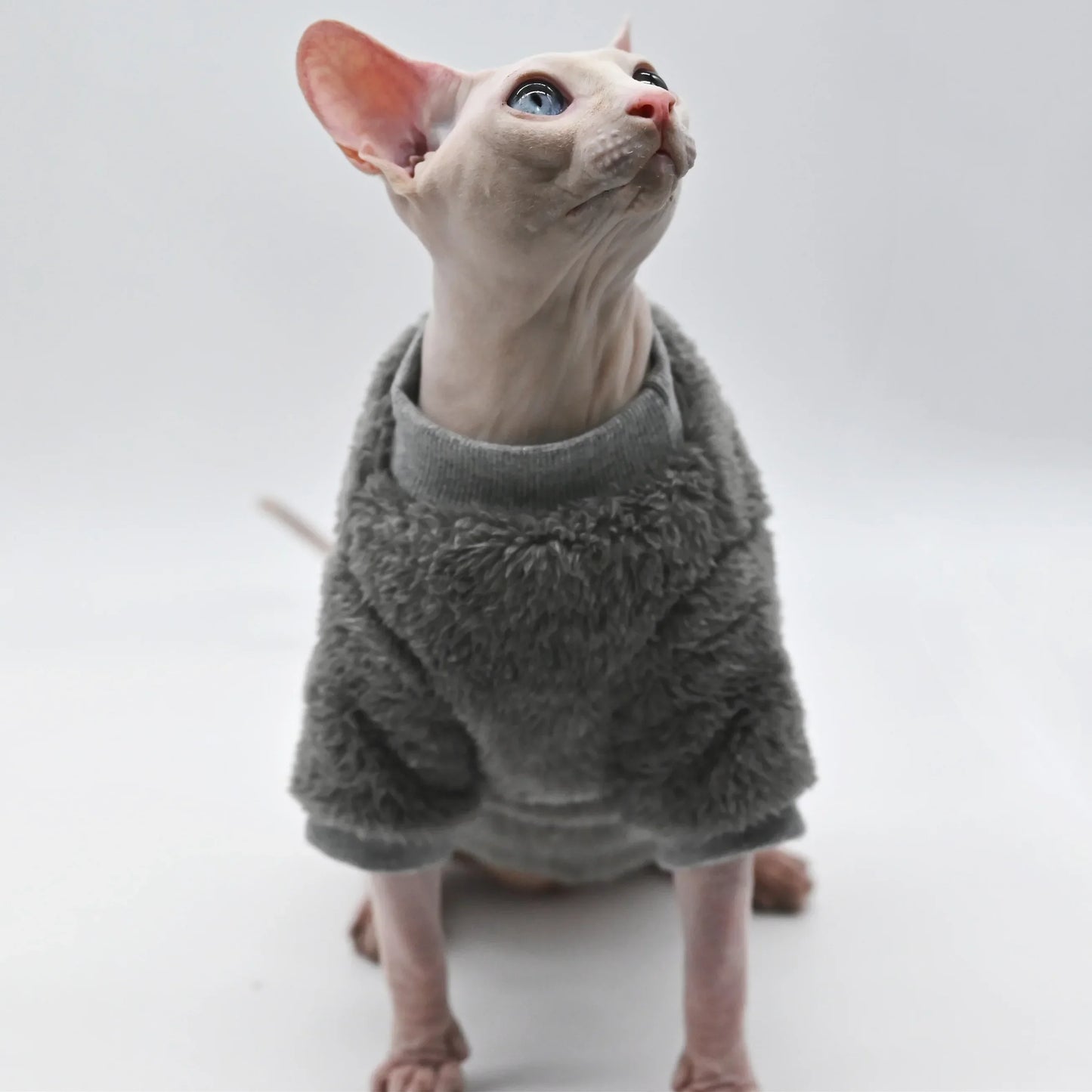 Double-Sided Fluffy Cat Jacket - Thick Winter Coat for Sphynx & Hairless Cats