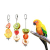 Stainless Steel Bird Food Holder - Fruit & Vegetable Skewer for Parrots