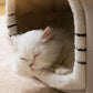 Foldable Winter Cat Cave Bed - Warm Chihuahua House & Basket