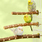Natural Wood Bird Perch Stand - Paw Grinding Branch for Parakeets & Cockatiels