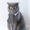 Adjustable Pet Bow Tie - Formal Necktie Collar for Small Dogs & Cats
