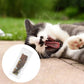 Natural Silvervine Catnip Sticks - Dental Chew Toy for Cats (10g)