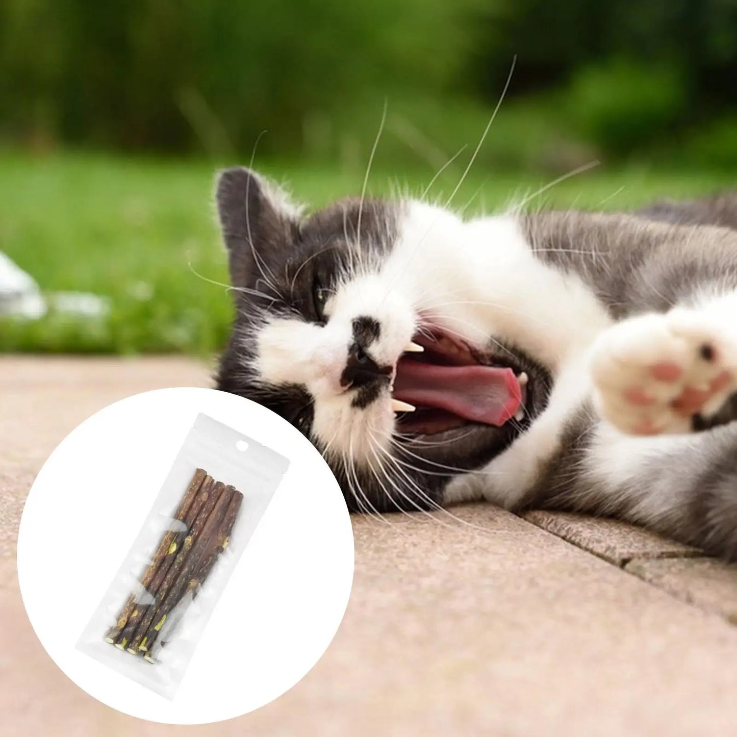 Natural Silvervine Catnip Sticks - Dental Chew Toy for Cats (10g)